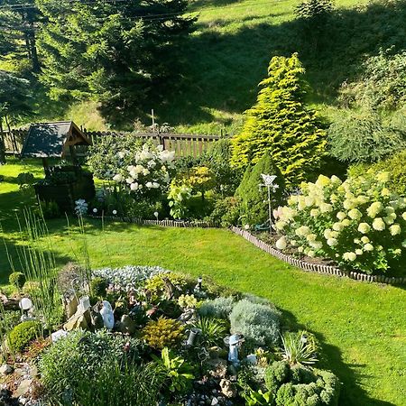 Stronie Śląskie Ranczo Frodyma Bed & Breakfast エクステリア 写真