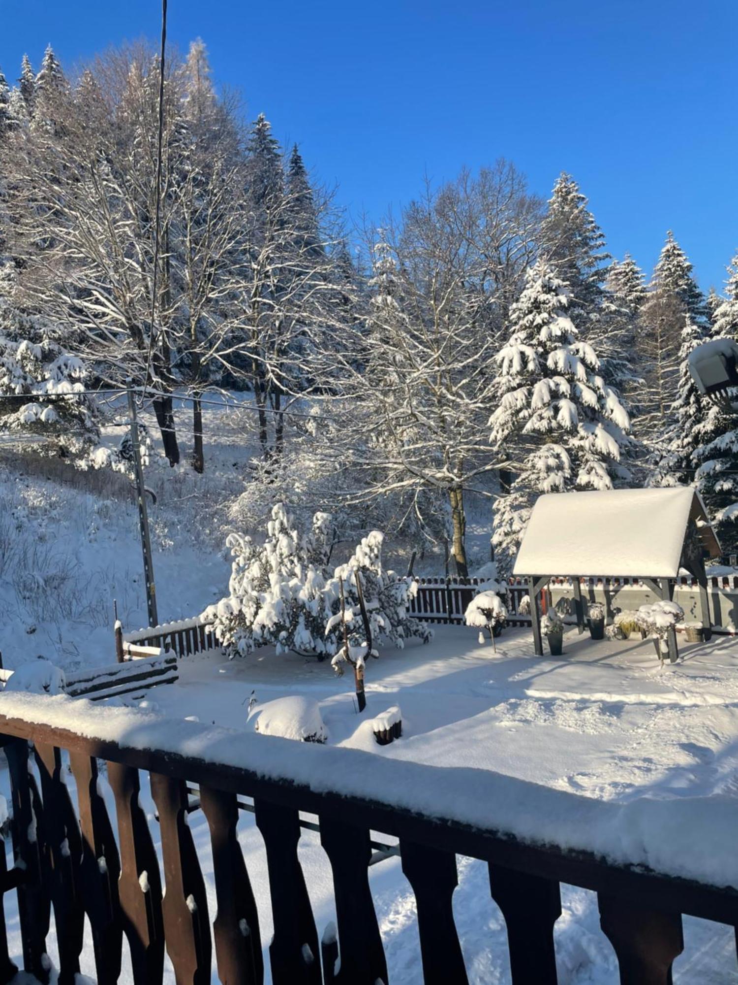 Stronie Śląskie Ranczo Frodyma Bed & Breakfast エクステリア 写真