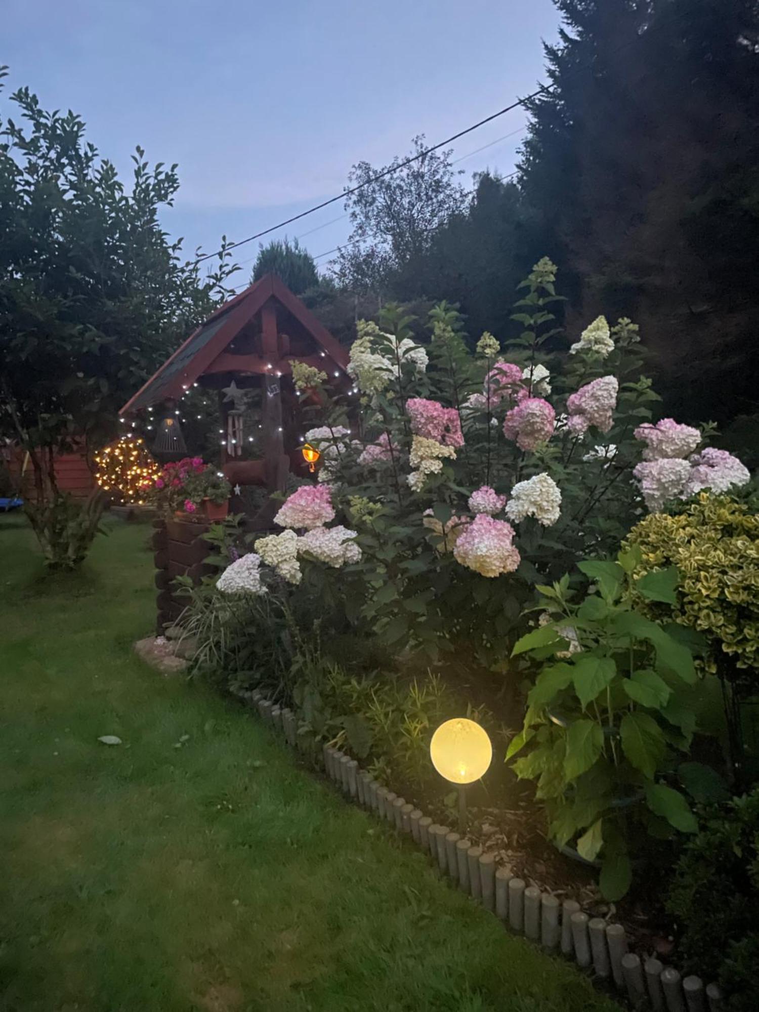 Stronie Śląskie Ranczo Frodyma Bed & Breakfast エクステリア 写真