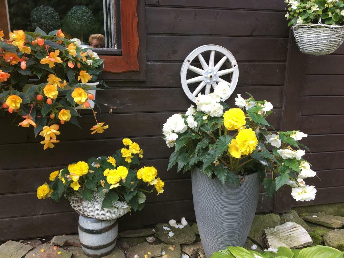 Stronie Śląskie Ranczo Frodyma Bed & Breakfast エクステリア 写真