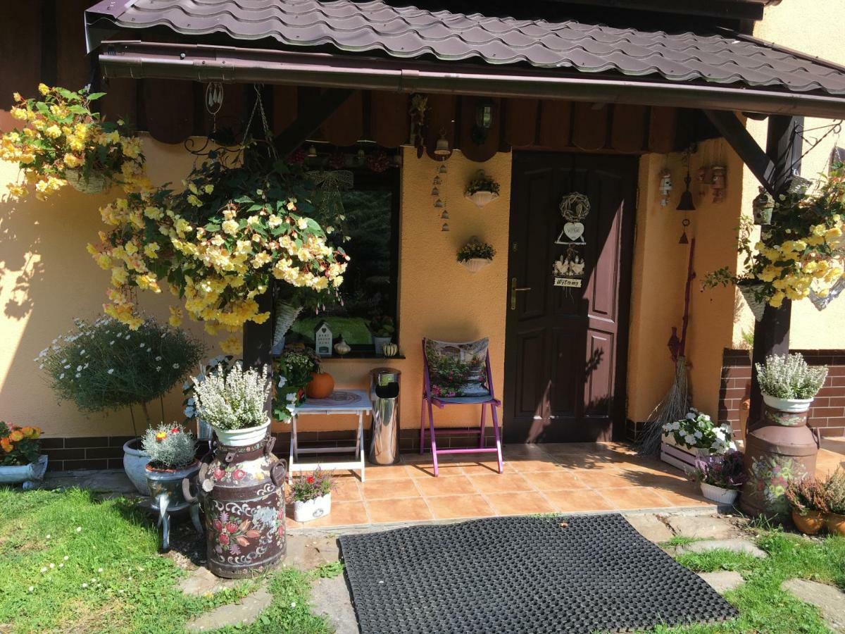 Stronie Śląskie Ranczo Frodyma Bed & Breakfast エクステリア 写真