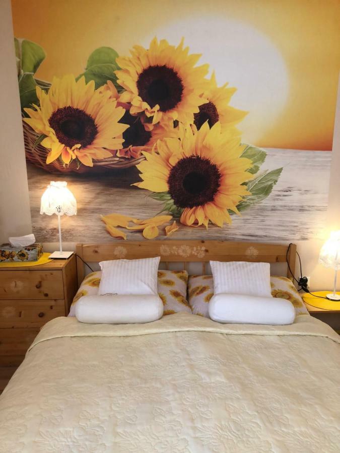 Stronie Śląskie Ranczo Frodyma Bed & Breakfast エクステリア 写真